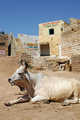 Jaisalmer