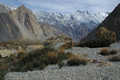 Passu